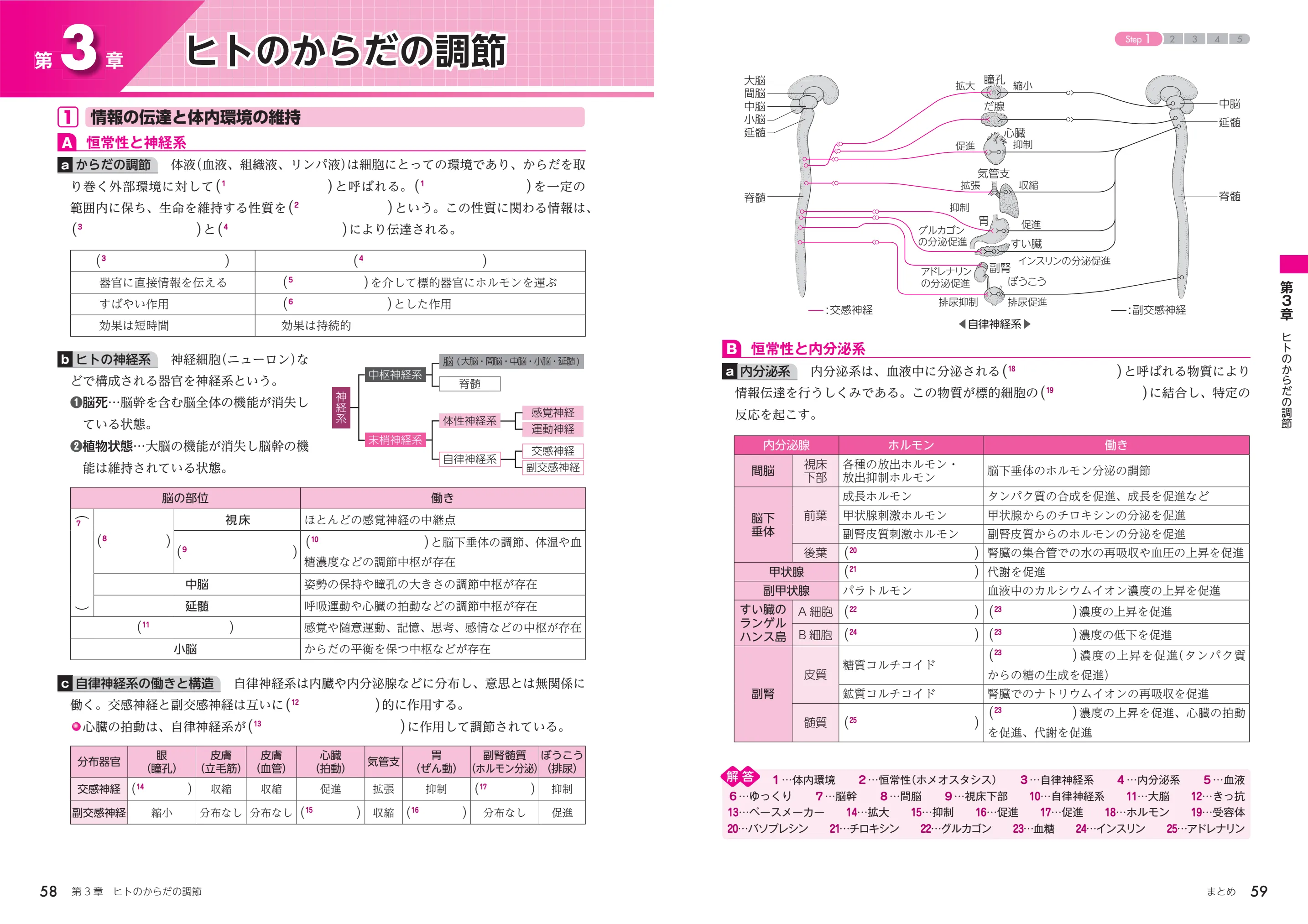 副教材のご案内 | 第一学習社