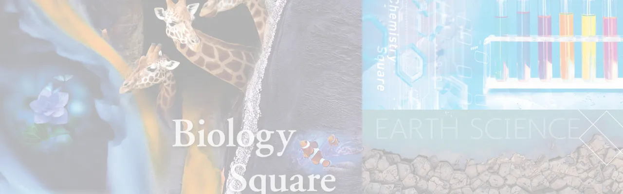 a45/ 新しい学習英文法 / 山崎英夫・著 ★研究社出版/昭和58年初版/帯付き 桐原書店