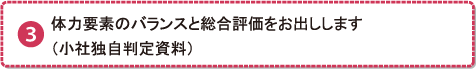 体力要素のバランスと総合評価をお出しします （小社独自判定資料）